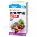 NatureVia Ostropestec LipoAktiv cps.60