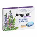 Anginal tablety se alvj+lkoic tbl.16