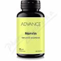 ADVANCE Nervin nervov� soustava cps.60